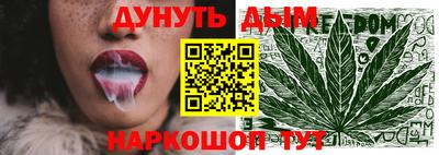 стаф Краснодар