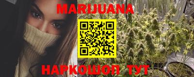 стаф Краснодар