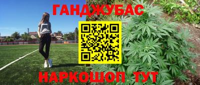 стаф Краснодар