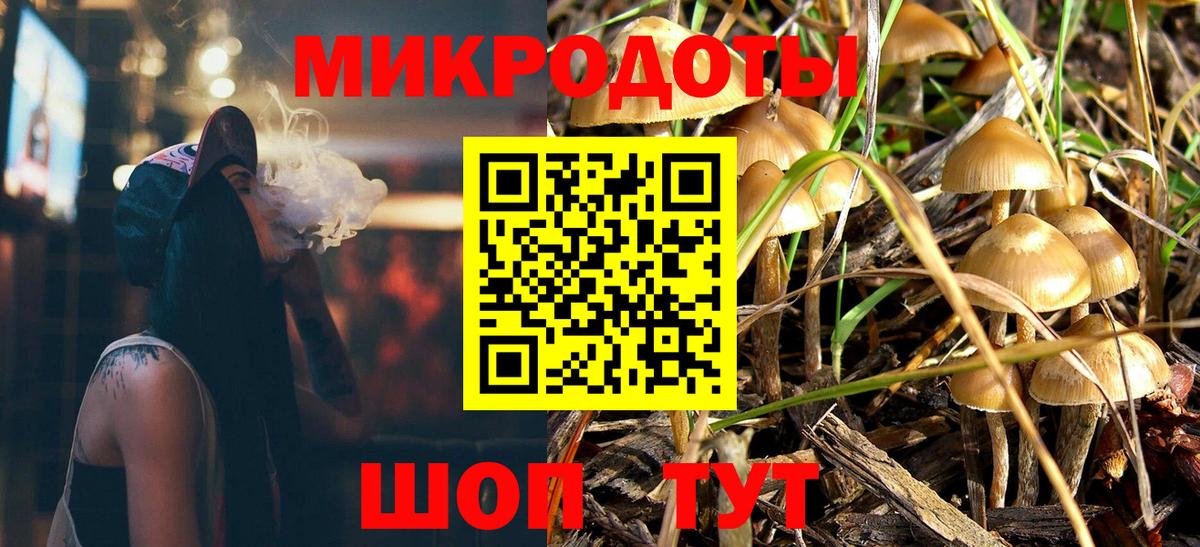 Карталы  Псилоцибиновые грибы мицелий  Вход с VPN 